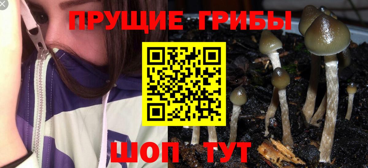 Галлюциногенные грибы GOLDEN TEACHER  Вход с VPN  Фурманов 