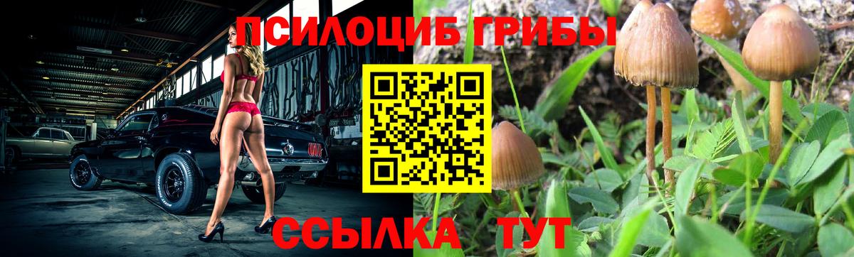Псилоцибиновые грибы GOLDEN TEACHER Фурманов